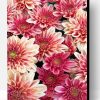 Chrysanthemum Flowers Paint By Number