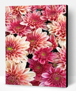 Chrysanthemum Flowers Paint By Number
