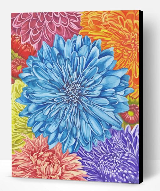 Colorful Chrysanthemum Paint By Number