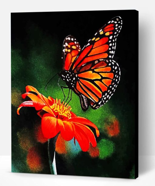 Monarch Butterfly On Flower Paint By Number