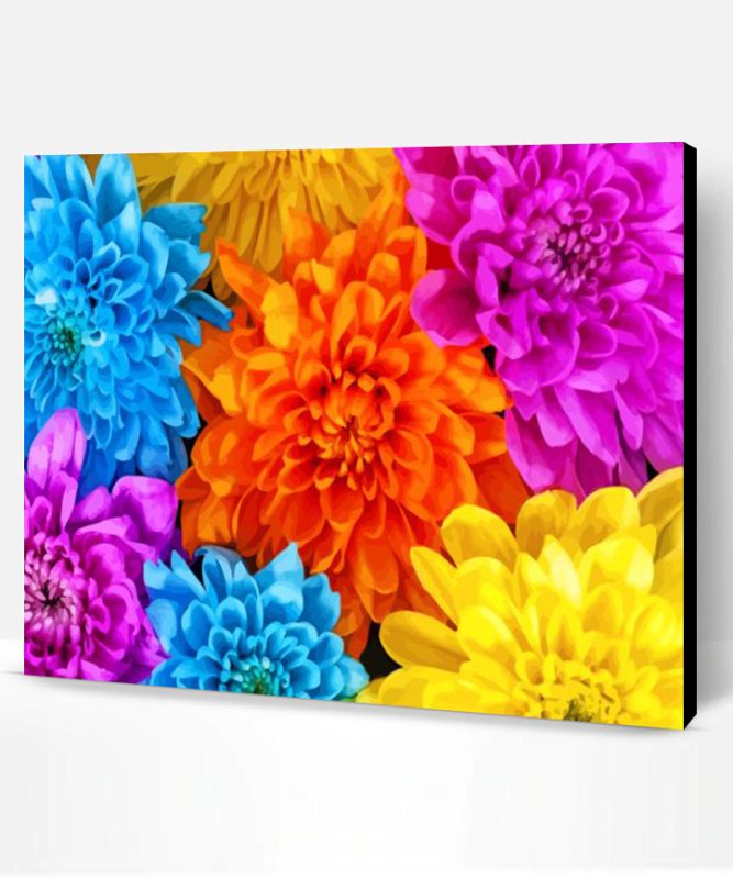 Colorful Chrysanthemum Paint By Number