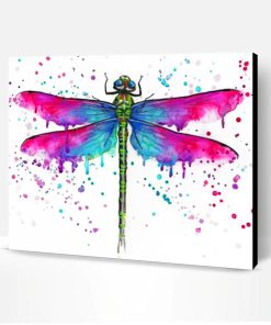 Colorful Dragonfly Paint By Number