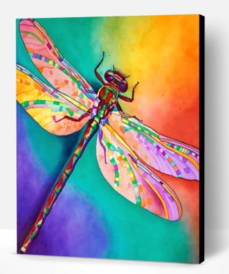 Colorful Dragonfly Paint By Number