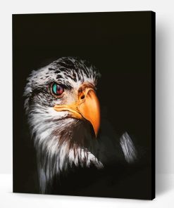 Cool Eagle Eyes Paint By Number