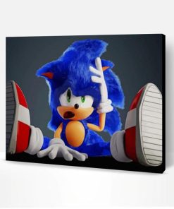 Cool Sonic The Hedgehog Paint By Number