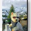 Cool Westie Paint By Number