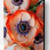 Coral Anemone Flower Paint By Number
