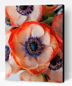Coral Anemone Flower Paint By Number