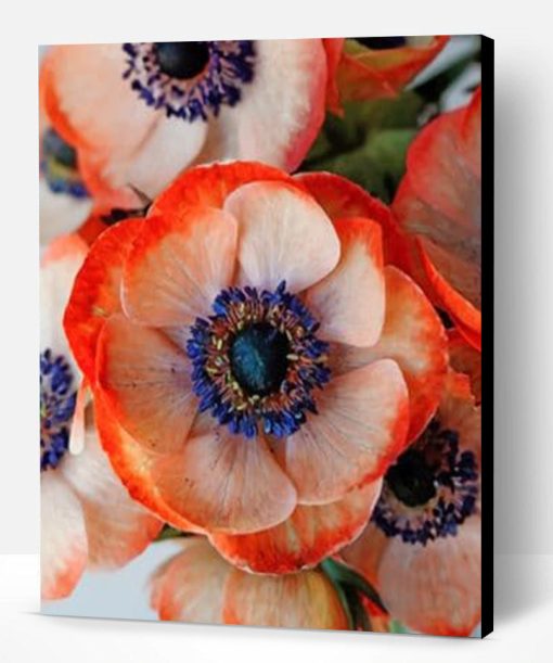 Coral Anemone Flower Paint By Number