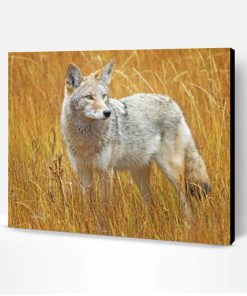 Coyote In A Field Paint By Number