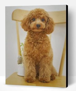 Cute Poodle Paint By Number