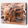 Cute Baby Boar Paint By Number