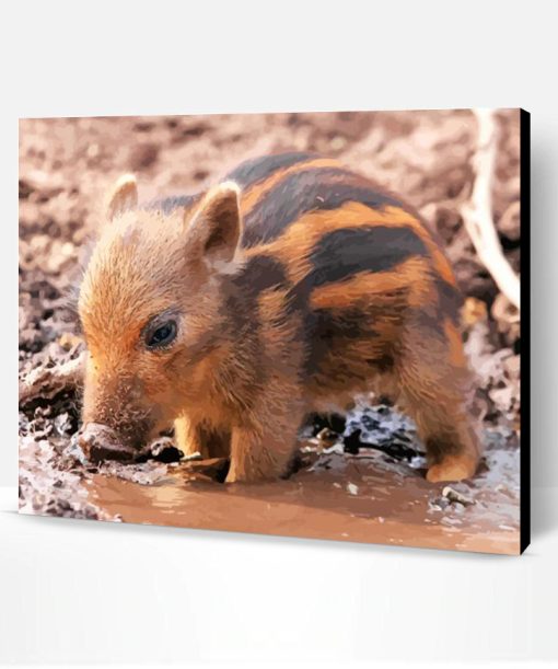 Cute Baby Boar Paint By Number