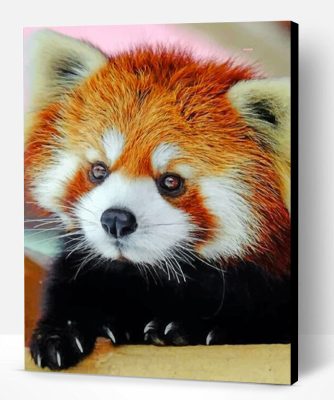 Cute Red Panda Paint By Number