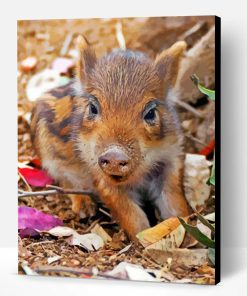 Cute Boar Paint By Number