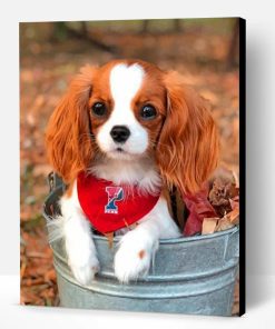 Cute Cavalier Paint By Number