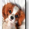Cute Cavalier Puppy Paint By Number