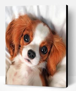 Cute Cavalier Puppy Paint By Number