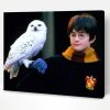 Harry Potter and Owl Paint By Number