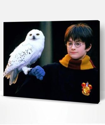 Harry Potter and Owl Paint By Number