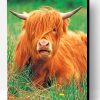 Cute Highland Cow Paint By Number