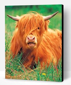 Cute Highland Cow Paint By Number
