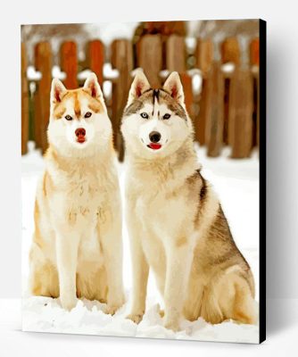 Cute Huskies Paint By Number