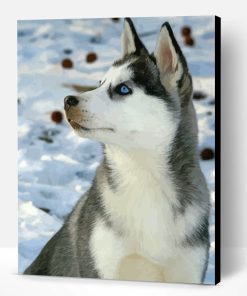 Cute Husky In Snow Paint By Number