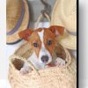 Cute Jack Russell Paint By Number