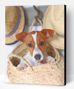 Cute Jack Russell Paint By Number