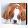 Cute King Charles Spaniel Puppy Paint By Number