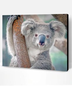 Cute Koala Paint By Number