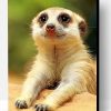 Cute Meerkat Animal Paint By Number