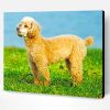 Cute Poodle Puppy Paint By Number