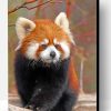 Cute Red Panda Paint By Number