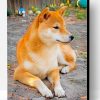 Cute Shiba Inu Paint By Number