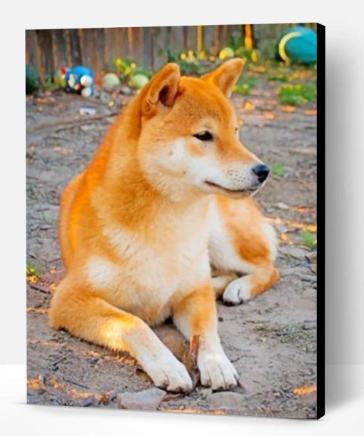 Cute Shiba Inu Paint By Number