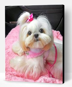 Cute Shih Tzu Paint By Number
