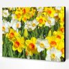 White And Yellow Daffodils Paint By Number