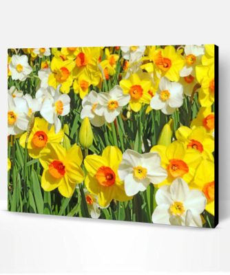 White And Yellow Daffodils Paint By Number