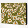 Daisy Field Illustration Paint By Number