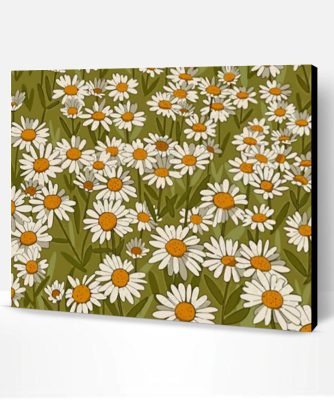 Daisy Field Illustration Paint By Number