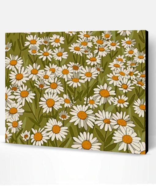 Daisy Field Illustration Paint By Number