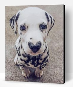 Dalmatian With Heart Nose Paint By Number