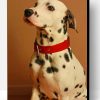 Dalmatian Breed Dog Paint By Number
