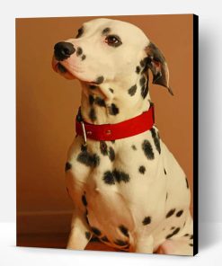 Dalmatian Breed Dog Paint By Number
