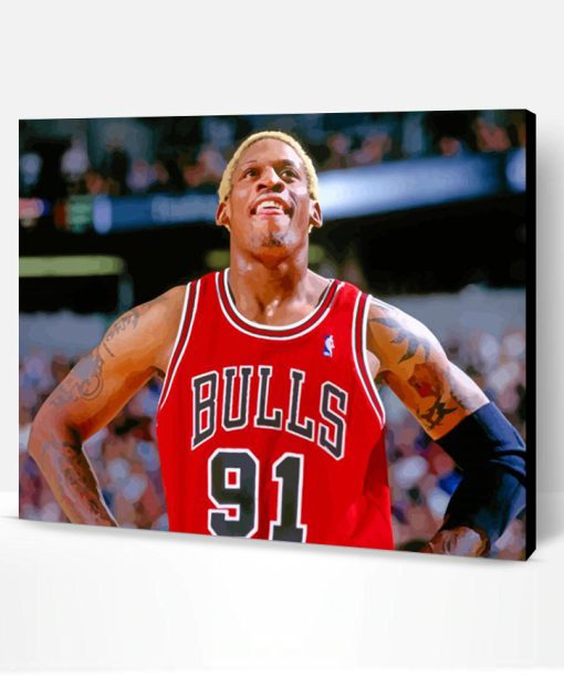 Dennis Rodman Chicago Bulls Paint By Number