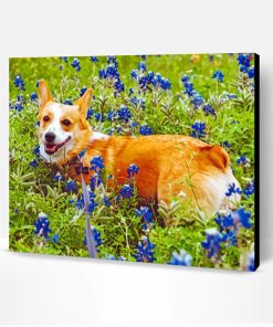 Dog And Bluebonnet Paint By Number
