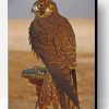 Eagle Desert Bird Paint By Number