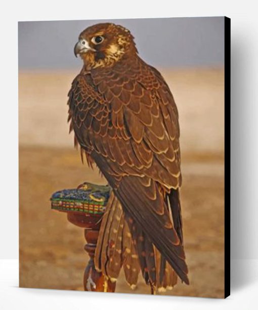 Eagle Desert Bird Paint By Number